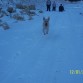 Aqui como loca en su primera visita a la nieve!!